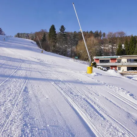 Quartier12 - In & Bike Out - Hang & L!ebe Willingen (Upland)